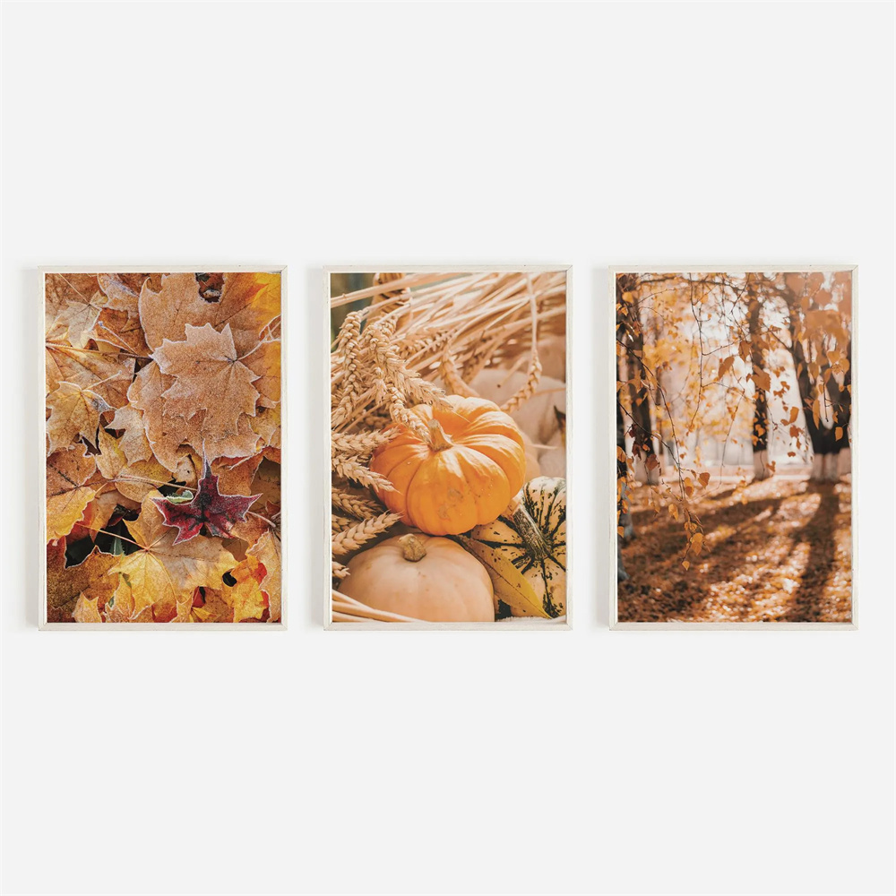 Photography Kit - 3PCS frameless decorative art print,3pcs Rustic